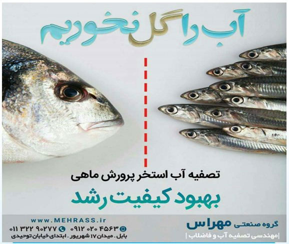 کیفیت آب برای پرورش ماهی